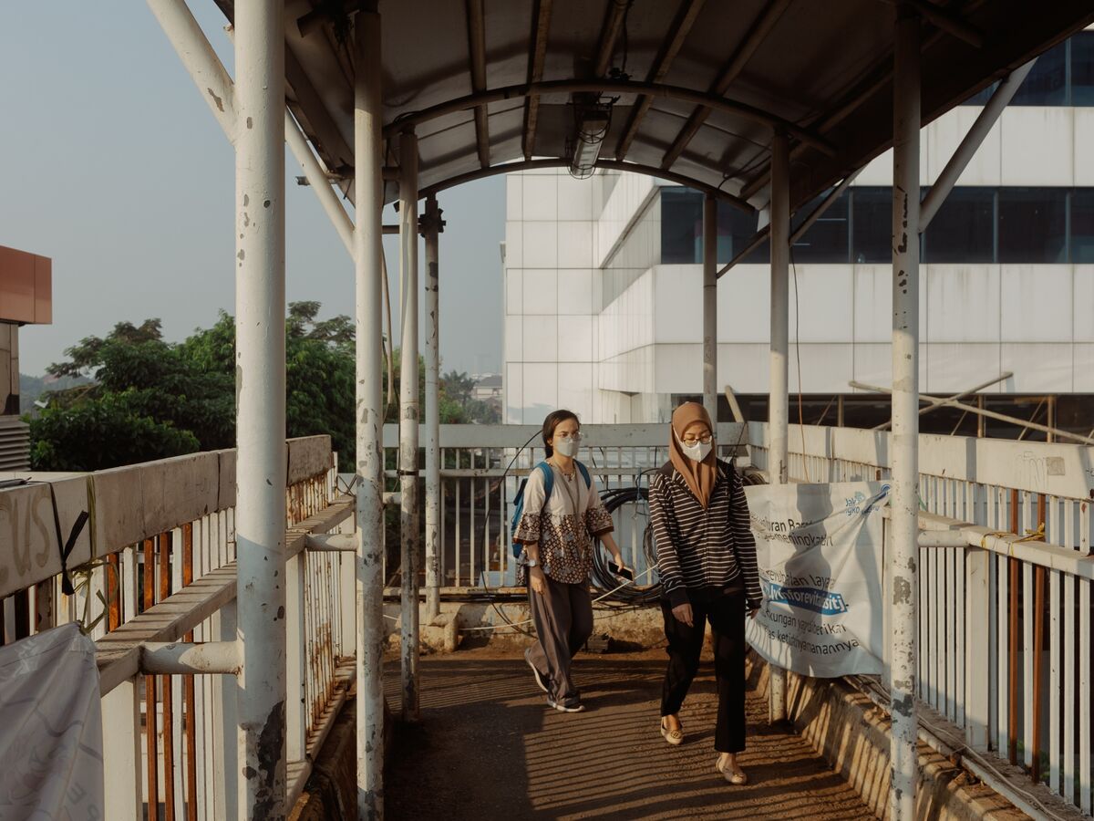 Nguy cơ khói mù ở Đông Nam Á gia tăng khi các vụ đốt rừng để dọn đất tăng đột biến