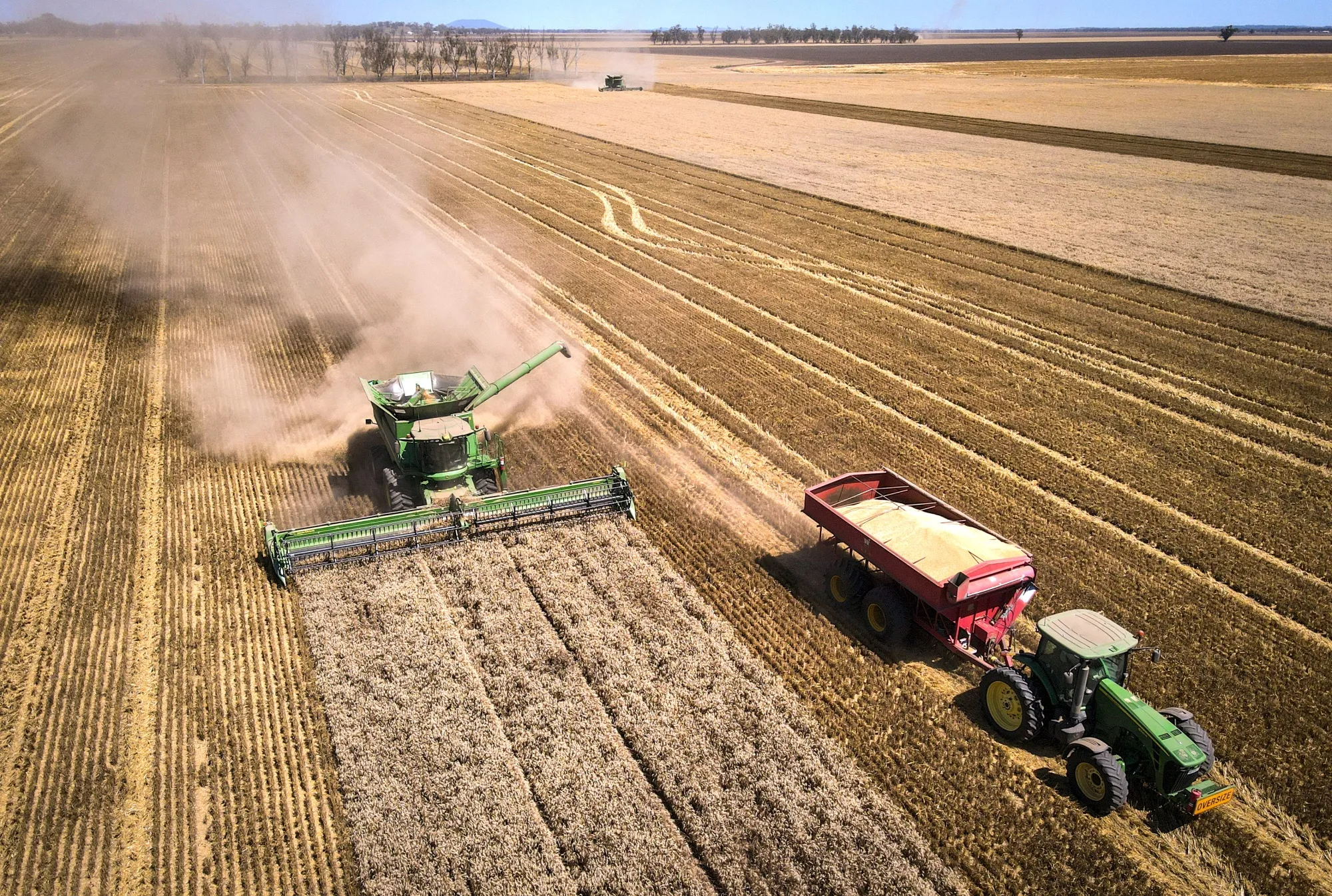 Harvesting of Wheat