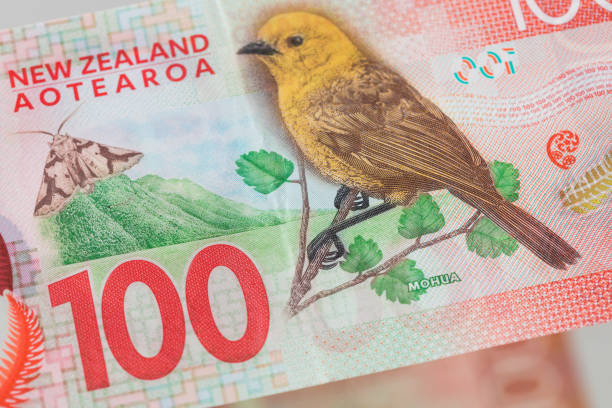 Nhận định NZD/USD: Quyết định của RBNZ củng cố kỳ vọng tăng lãi suất tiếp theo