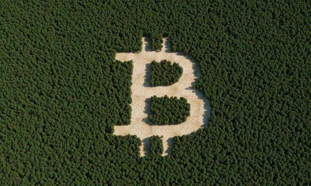 Có phải BTC đang lấy đà tăng giá? - Action Forex