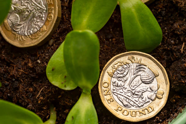 GBP/USD duy trì xu hướng tích cực trước thềm dữ liệu CPI Anh và cuộc họp chính sách của BoE
